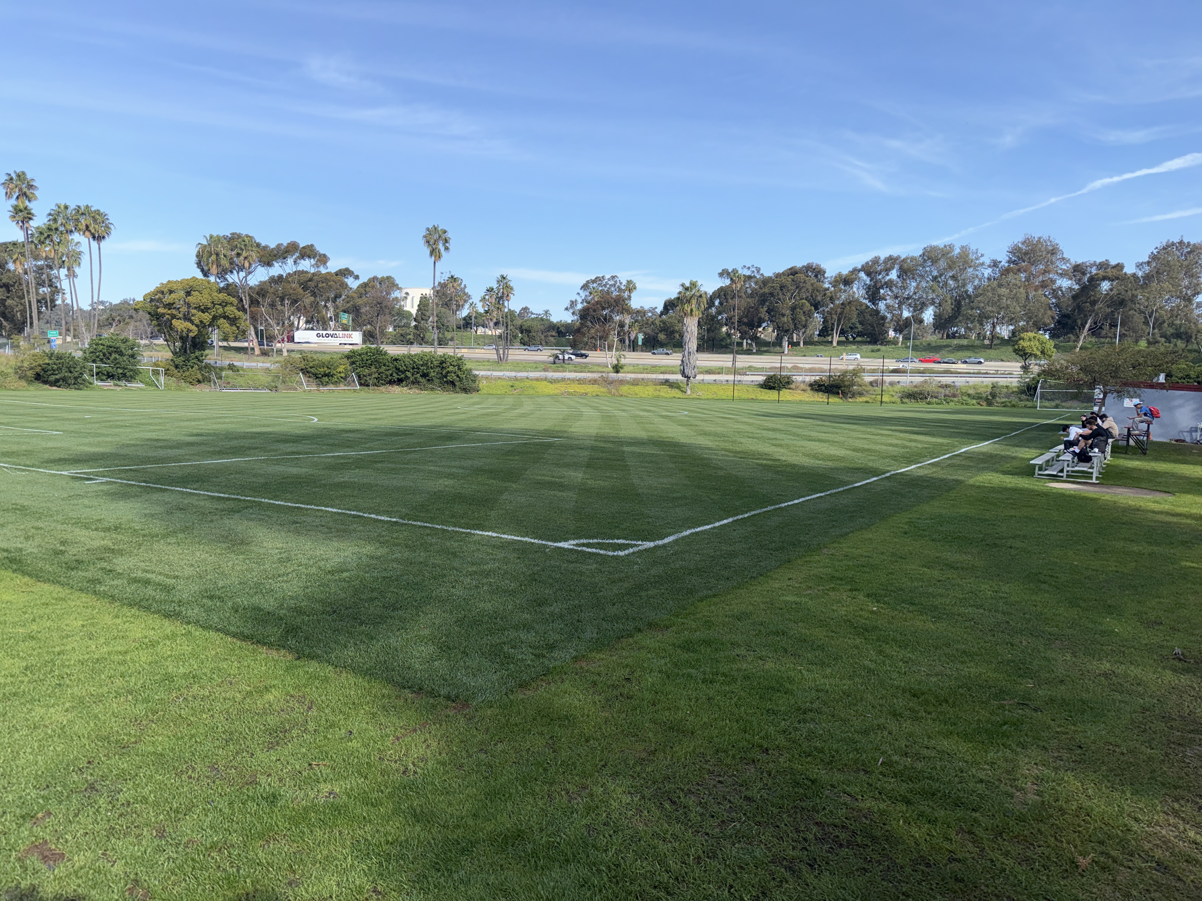 soccer field with new turf grass
