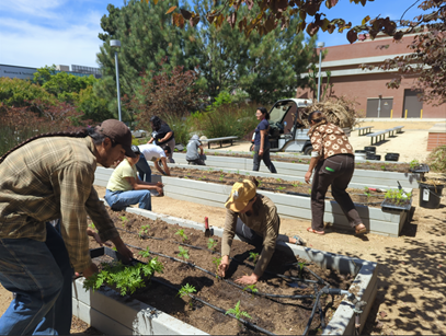 staff gardening