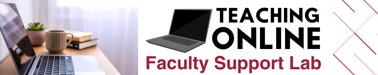 teaching online faculty support